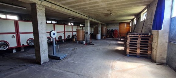 Propiedad comercial en Santa Maria della Versa, Italy 1000 m² No. 85511 13