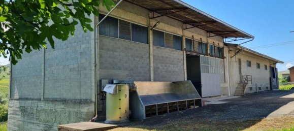 Propiedad comercial en Santa Maria della Versa, Italy 1000 m² No. 85511 19