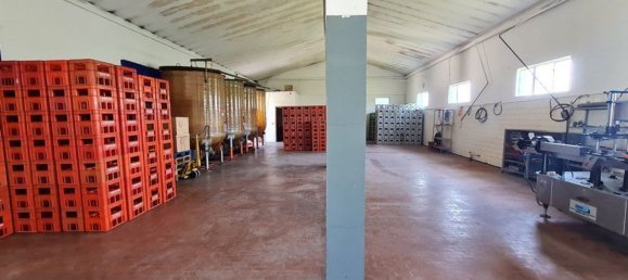 Propiedad comercial en Santa Maria della Versa, Italy 1000 m² No. 85511 27