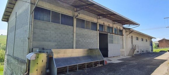 Propiedad comercial en Santa Maria della Versa, Italy 1000 m² No. 85511 18