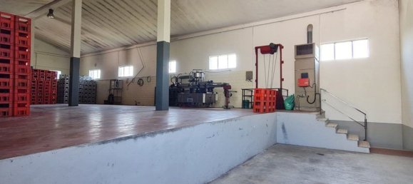 Propiedad comercial en Santa Maria della Versa, Italy 1000 m² No. 85511 16