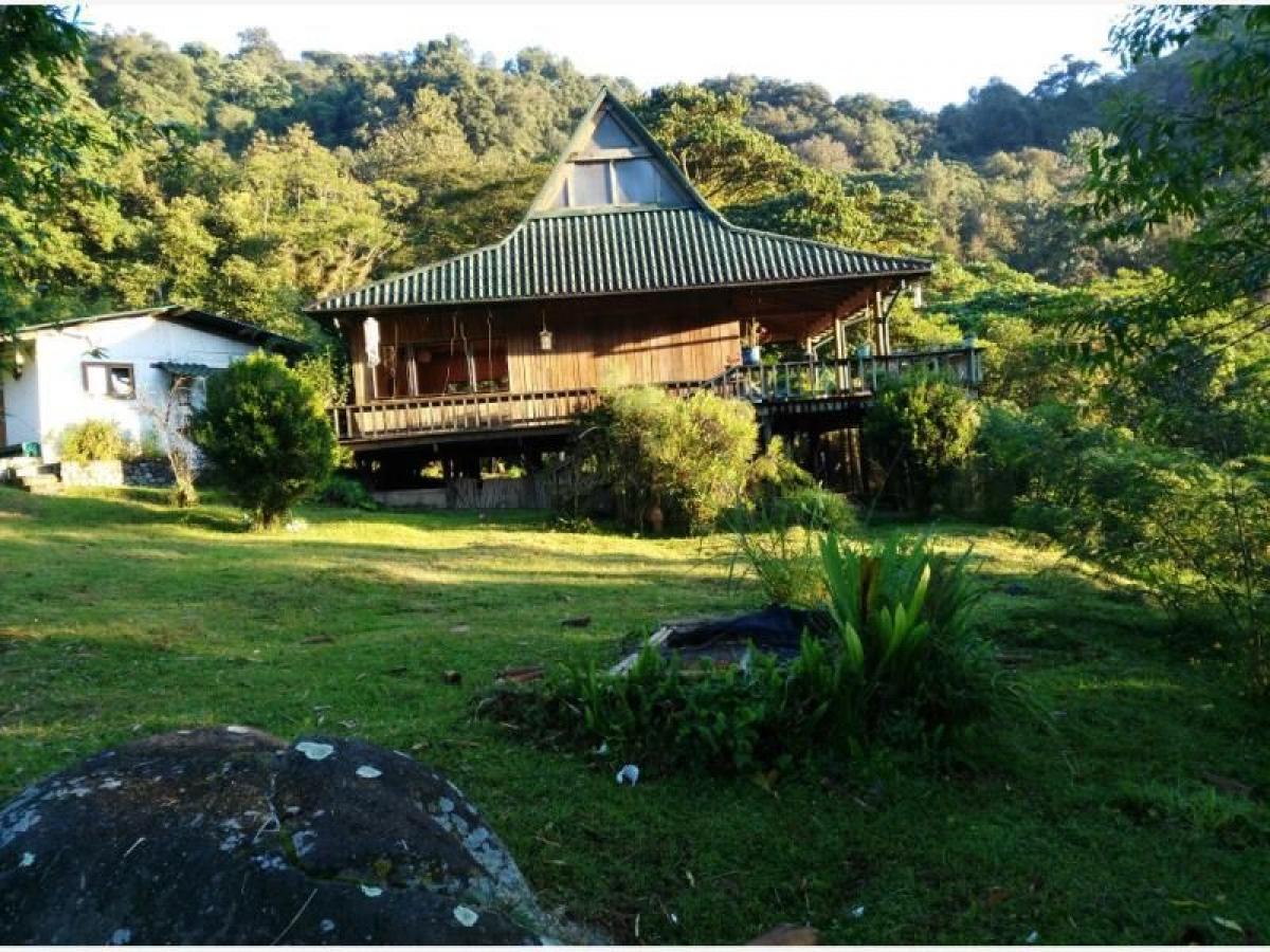  قطعة أرض في Veracruz, Mexico رقم 202560