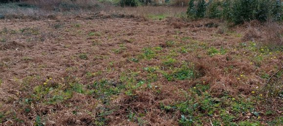 Terrain à Sanxenxo, Spain 1200m² No. 25033 4