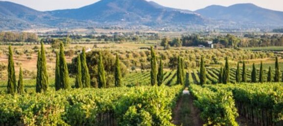 3 bedrooms Apartment in Gavorrano, Italy No. 363258 4