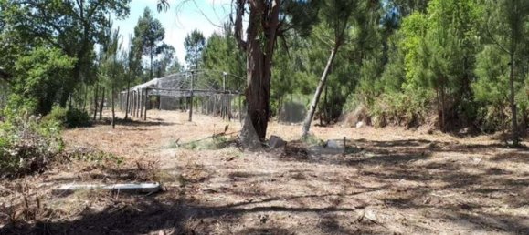  Land in Sintra, Portugal No. 150417 3