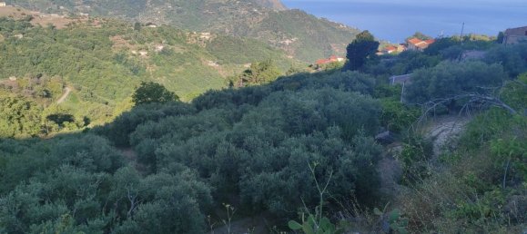 4 Schlafzimmer Haus in Gioiosa Marea, Italy, Nr. 375061 11