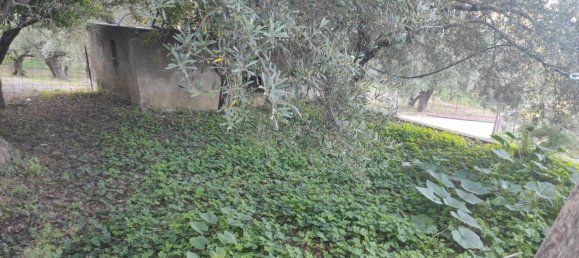 4 Schlafzimmer Haus in Gioiosa Marea, Italy, Nr. 375061 12