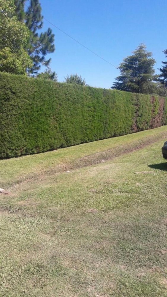  Land in Santa Fe, Argentina No. 38905