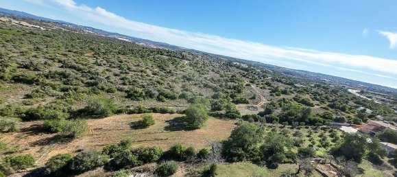 4 bedrooms House in Silves, Portugal No. 31698 19