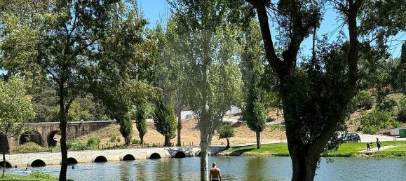 7 غرف نوم منزل في Fronteira, Portugal رقم 29067 5