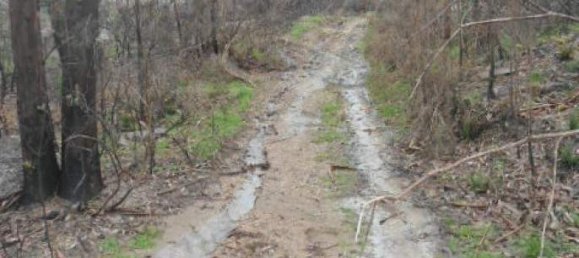 Land in Marco de Canaveses, Portugal No. 56181 2