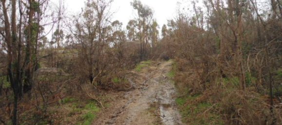 Land in Marco de Canaveses, Portugal No. 56181 4