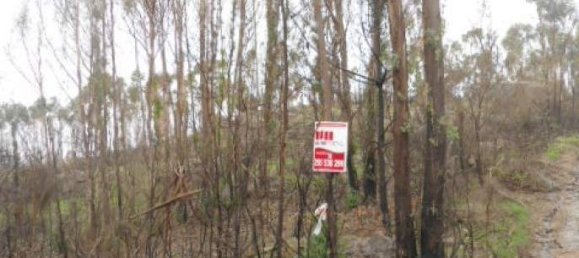 Land in Marco de Canaveses, Portugal No. 56181 7