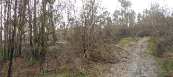 Land in Marco de Canaveses, Portugal No. 56181 6