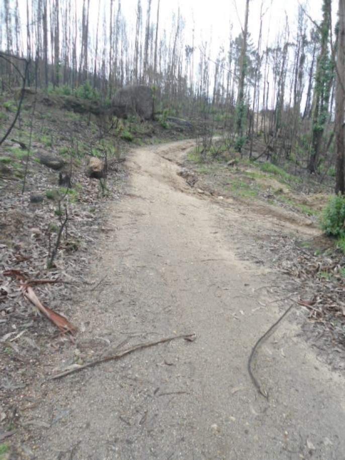  Land in Marco de Canaveses, Portugal No. 56181