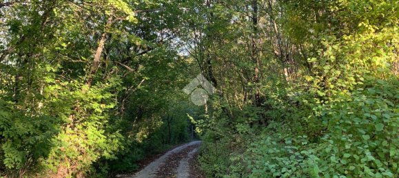 Замки и поместья с 4 комнатами в Альвито, Италия № 76773 28