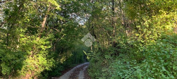 Замки и поместья с 4 комнатами в Альвито, Италия № 76773 18