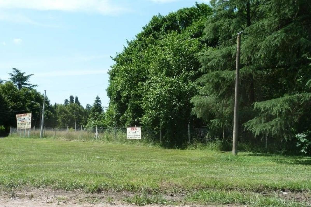  Land in Exaltacion de la Cruz, Argentina No. 42080