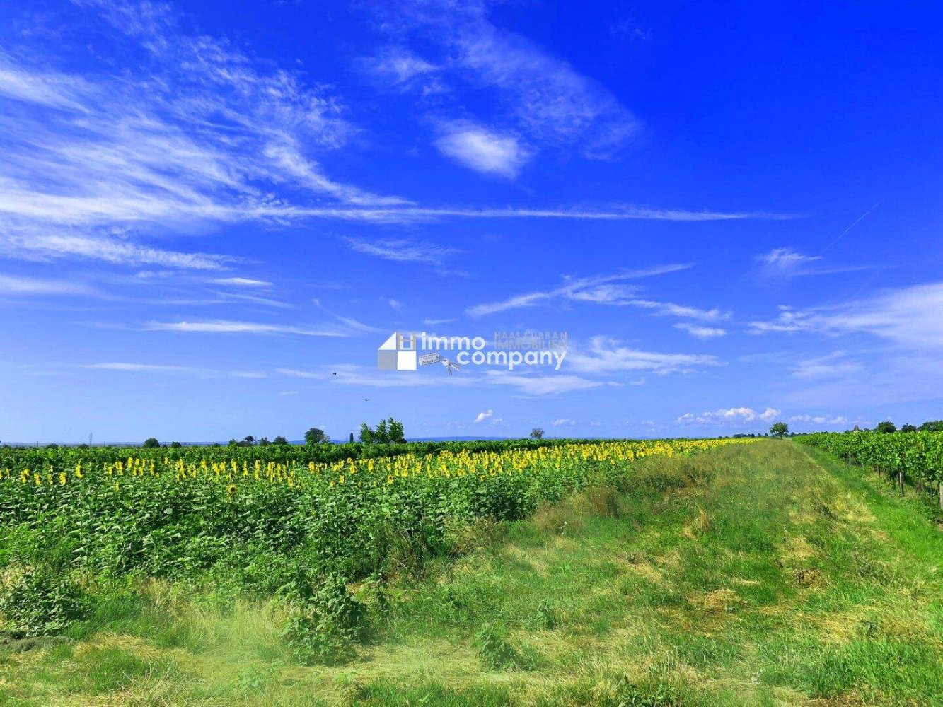 Grundstück in Winden am See, Austria, Nr. 201887