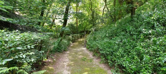 7 Schlafzimmer Villa in Sintra, Portugal, Nr. 259192 37