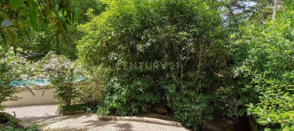 7 Schlafzimmer Villa in Sintra, Portugal, Nr. 259192 38