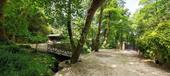 7 Schlafzimmer Villa in Sintra, Portugal, Nr. 259192 42