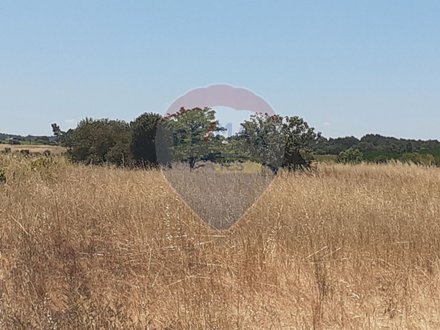 Terrain à Alpiarca, Portugal 7500m² No. 62221