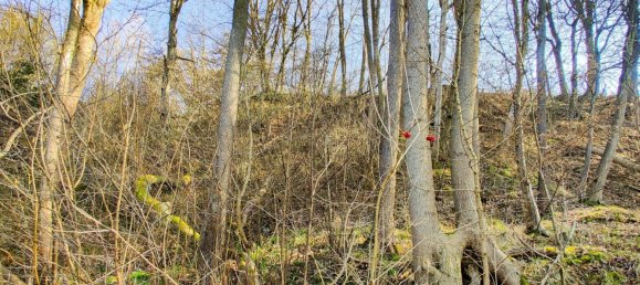 Земельный участок 410м² в Ламбах, Австрия № 126856 10