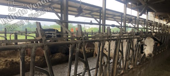 9278m² Building in Montechiarugolo, Italy No. 14510 16