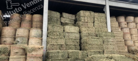 9278m² Building in Montechiarugolo, Italy No. 14510 12