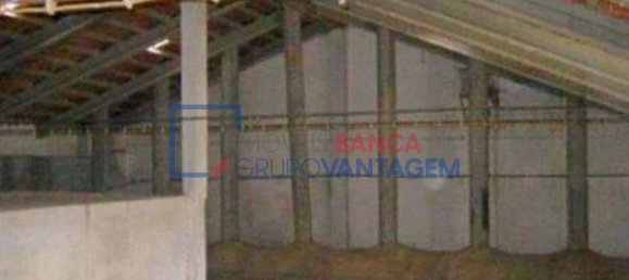 561m² Warehouse in Montoito, Portugal No. 91687 3