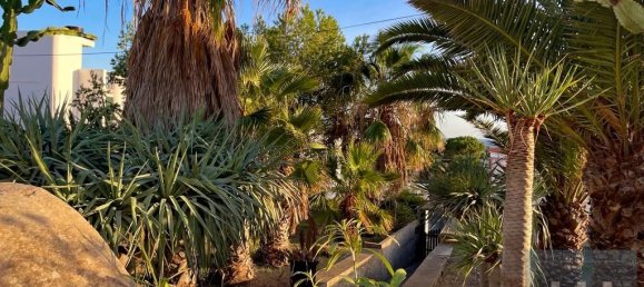 4 Schlafzimmer Haus in Porto Santo, Portugal, Nr. 319500 37