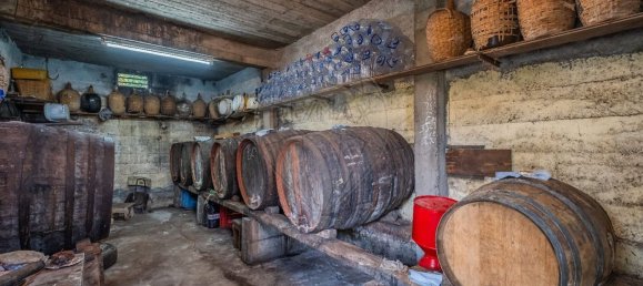 Gebäude in Funchal, Portugal 205m², Nr. 69243 7