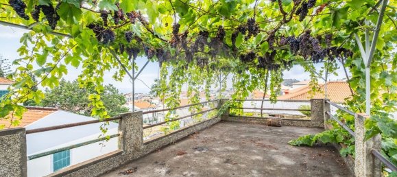 Gebäude in Funchal, Portugal 205m², Nr. 69243 6