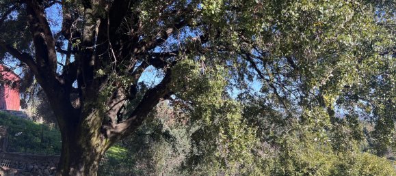 2 bedrooms Land in Chania, Greece No. 8948 23