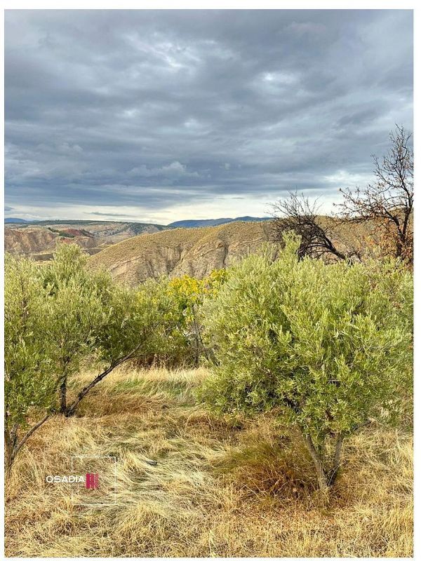 4813m² Land in Monachil, Spain No. 225344