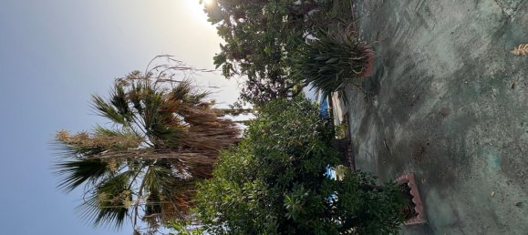 1 bedroom House in El Canuelo, Spain No. 185655 9