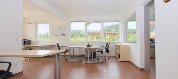 Lagerhaus in Hochfilzen, Austria 636m², Nr. 232110 4