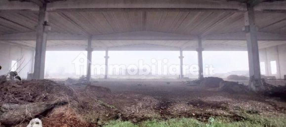 Склад 2000м² в Родиго, Италия № 319038 14