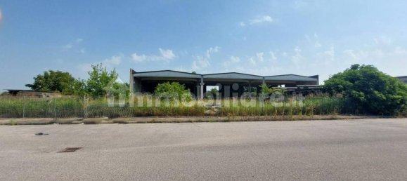 Склад 2000м² в Родиго, Италия № 319038 12