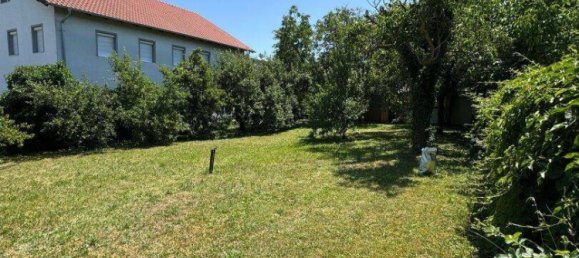 Terreno de 1 habitación en Rust, Austria No. 144128 10