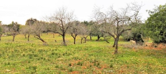 Земельный участок в Сантаньи, Испания № 168266 5