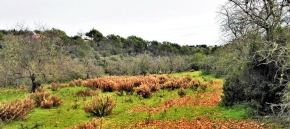 Земельный участок в Сантаньи, Испания № 168266 2