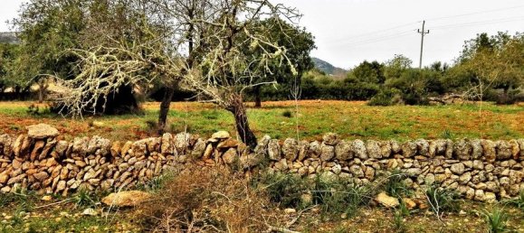 Земельный участок в Сантаньи, Испания № 168266 7