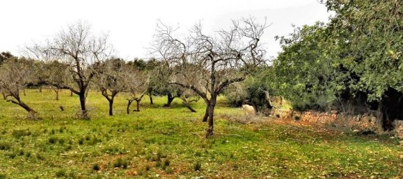 Земельный участок в Сантаньи, Испания № 168266 6