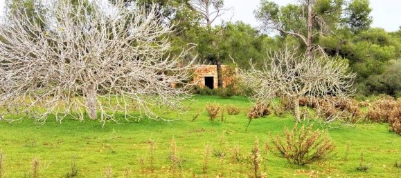 Земельный участок в Сантаньи, Испания № 168266 3