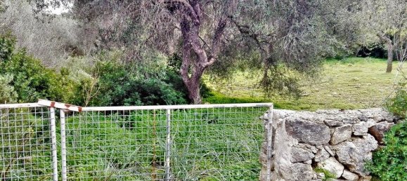 Земельный участок в Сантаньи, Испания № 168266 4