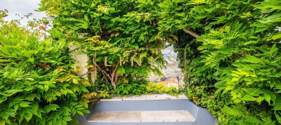 3 chambres Villa à Funchal, Portugal No. 142064 3