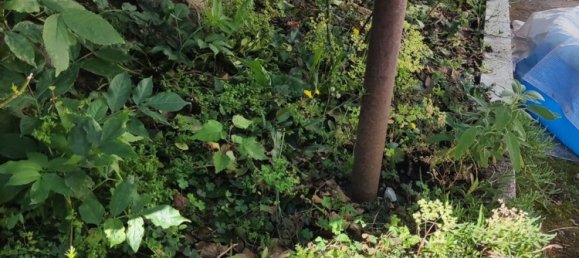 3 bedrooms Apartment in Rubiana, Italy No. 344163 12