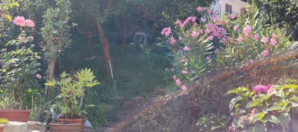 3 bedrooms Apartment in Rubiana, Italy No. 344163 11